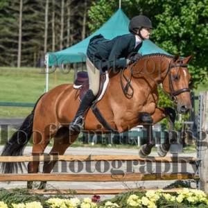 Meet your Posher, Anika